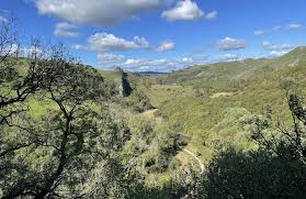 Image result for England Staffordshire Birding Club