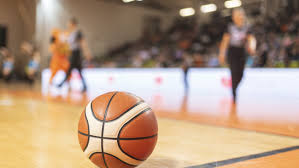 Image result for Shropshire Warriors