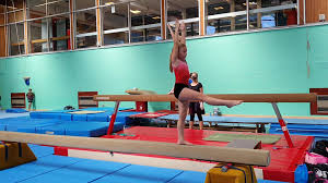 Image result for Bicester and District Gymnastics Club