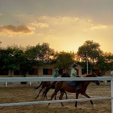 Image result for East Flegg Riding Club