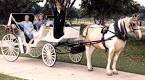 http://www.californiacarriages.com/images/oliver1carriage_reduced2.jpg