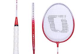 Image result for Beginners and Intermediate Badminton