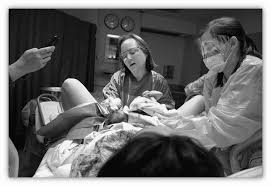 Image result for cesarskie