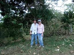 Image result for john anne panama