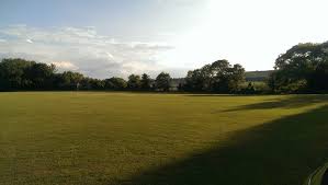 Image result for Worplesdon & Burpham Cricket Club