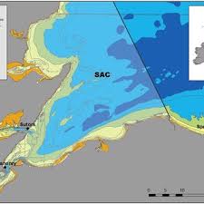 Image result for Rayleigh Sac