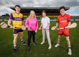 Image result for hurling