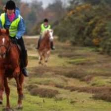 Image result for Greenways Riding Stable Lower Eashing