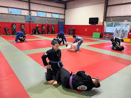 Image result for NEMESIS MARTIAL ARTS & FITNESS