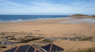 Image result for Raven Surf School