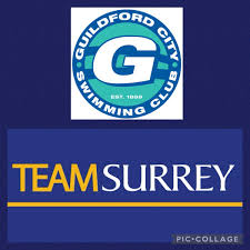 Image result for Guildford Sc