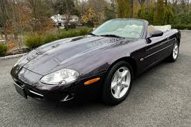 Image result for Amananth Purple 1998 Jaguar