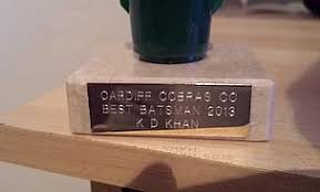 Image result for Cardiff Cobras