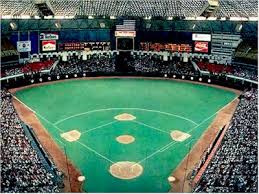 Image result for Astroturf