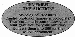 Attēlu rezultāti vaicājumam “Badhamiopsis ainoae spores”