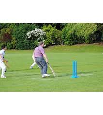 Image result for Vale Cricket Club
