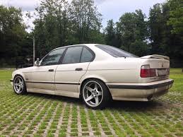 Картинки по запросу белку зажевало в диск