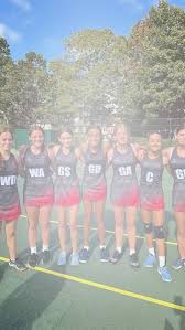 Image result for Onslow Pink Panthers Junior Netball Club