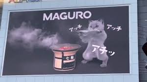 Image result for Aikido - Shobu UK (Newton in furness)