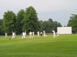 Image result for Luton Nomads Cricket Club