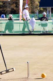 Image result for Royal Tunbridge Wells Croquet Club