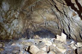 Attēlu rezultāti vaicājumam “Geocrypta galii”