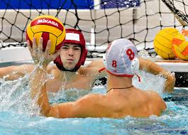 Image result for York University Swimming & Water Polo Club