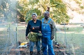 Image result for Backwell Sc