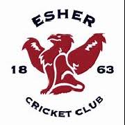 Image result for Esher Bowling Club