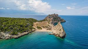 Attēlu rezultāti vaicājumam “Sterna”