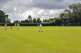 Image result for Potters Bar Cricket Club