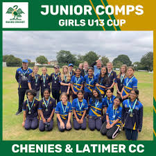 Image result for Ballinger Waggoners Cricket Club