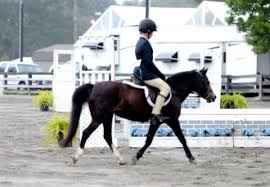 Image result for Lower Farm Stables