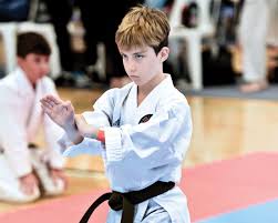 Image result for Haslemere Karate Club