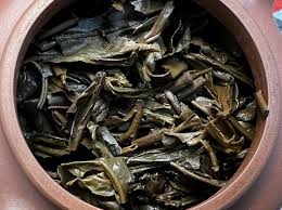 Image result for 2001早春