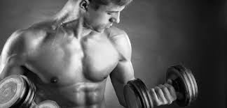 Image result for Weymouth Squash & Fitness