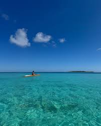 Image result for Redoubtables Cc