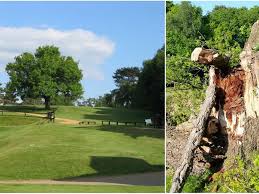 Image result for Puttenham Golf Club
