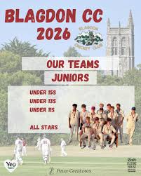 Image result for Blagdon Cricket Club