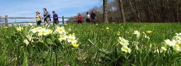 Image result for Mid Surrey Ramblers