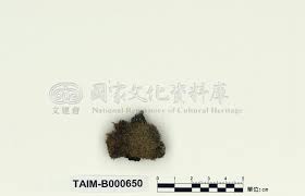 Attēlu rezultāti vaicājumam “Paraleucobryum longifolium”