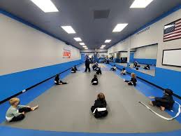 Image result for Freedom Martial Arts