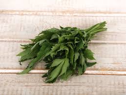 Image result for Liebstöckel