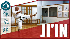 Image result for Ji Shin Do Karate