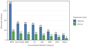 Attēlu rezultāti vaicājumam “Amaurochaete sp.”
