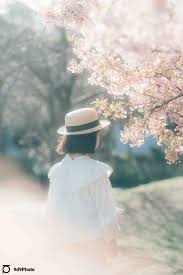 「桃井桜」の画像検索結果