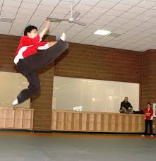 Image result for Dragon Wushu Club