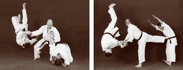 Image result for Han Wong Tae Kwon Do Academy