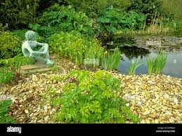 Attēlu rezultāti vaicājumam “Angelica palustris”