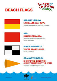 Image result for Abertillery Piranhas Swimming Club